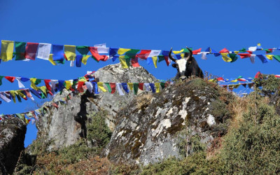 Gallery image  7 of Everest Base Camp Trek 14 days